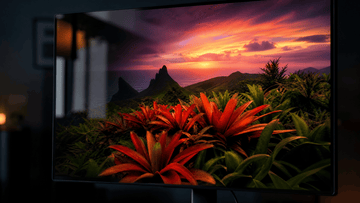 Glossy vs. Matte: Which Monitor Coating Is The Best?