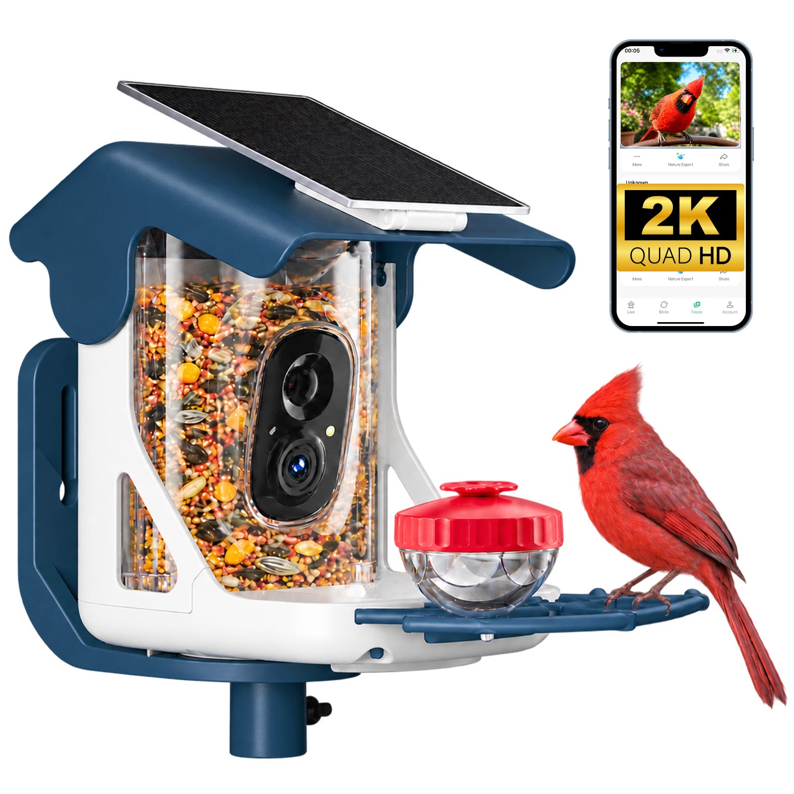 Smart Bird Feeder with 2K Camera & 11,000+ Bird Species AI - Solar Panel Included