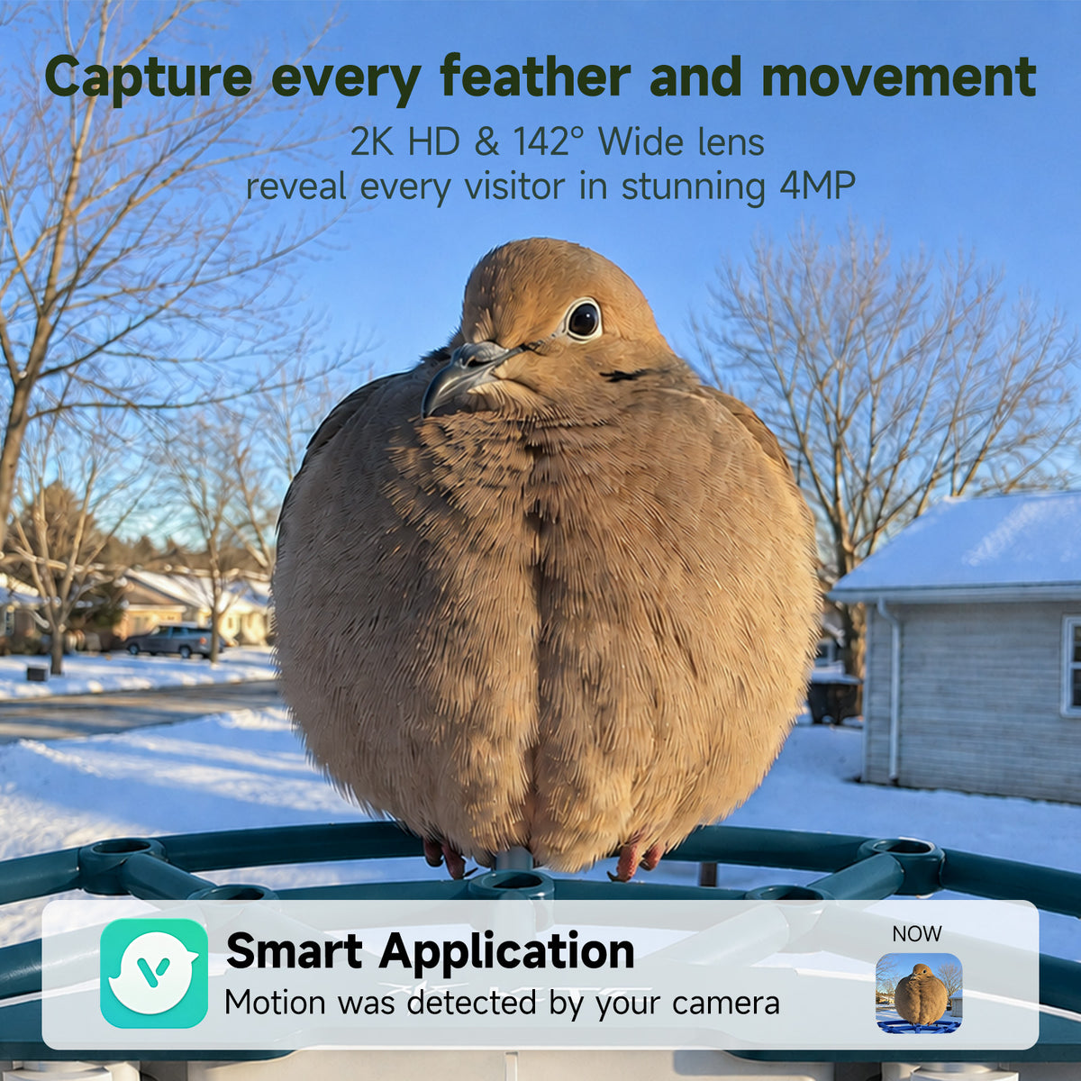 Smart Bird Feeder with 2K Camera & 11,000+ Bird Species AI - Solar Panel Included