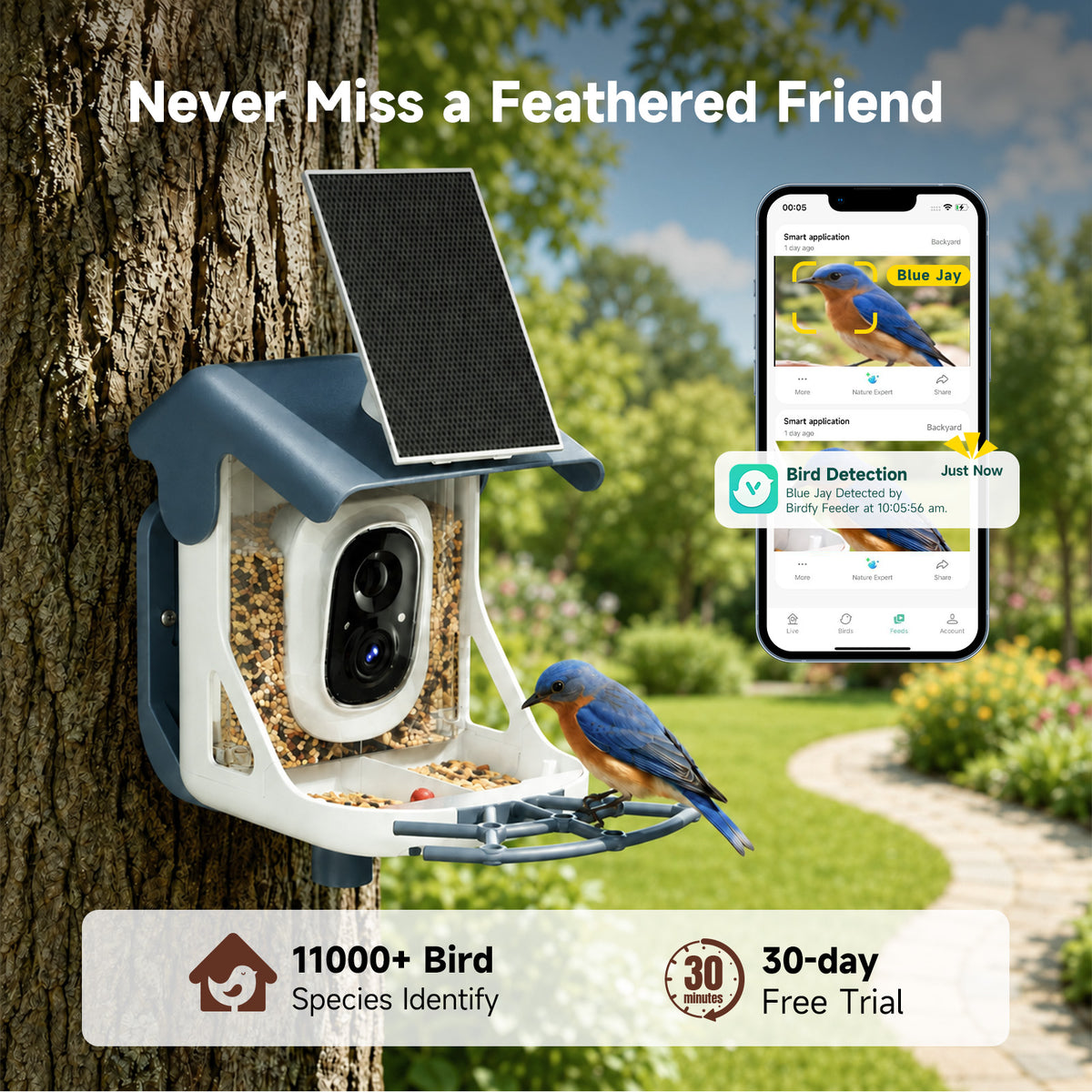 Smart Bird Feeder with 2K Camera & 11,000+ Bird Species AI - Solar Panel Included