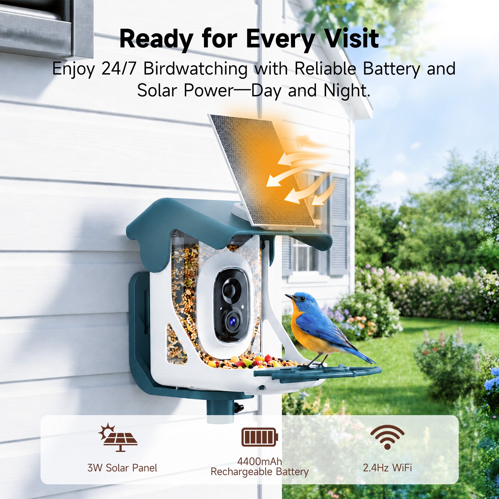 Smart Bird Feeder with 2K Camera & 11,000+ Bird Species AI - Solar Panel Included