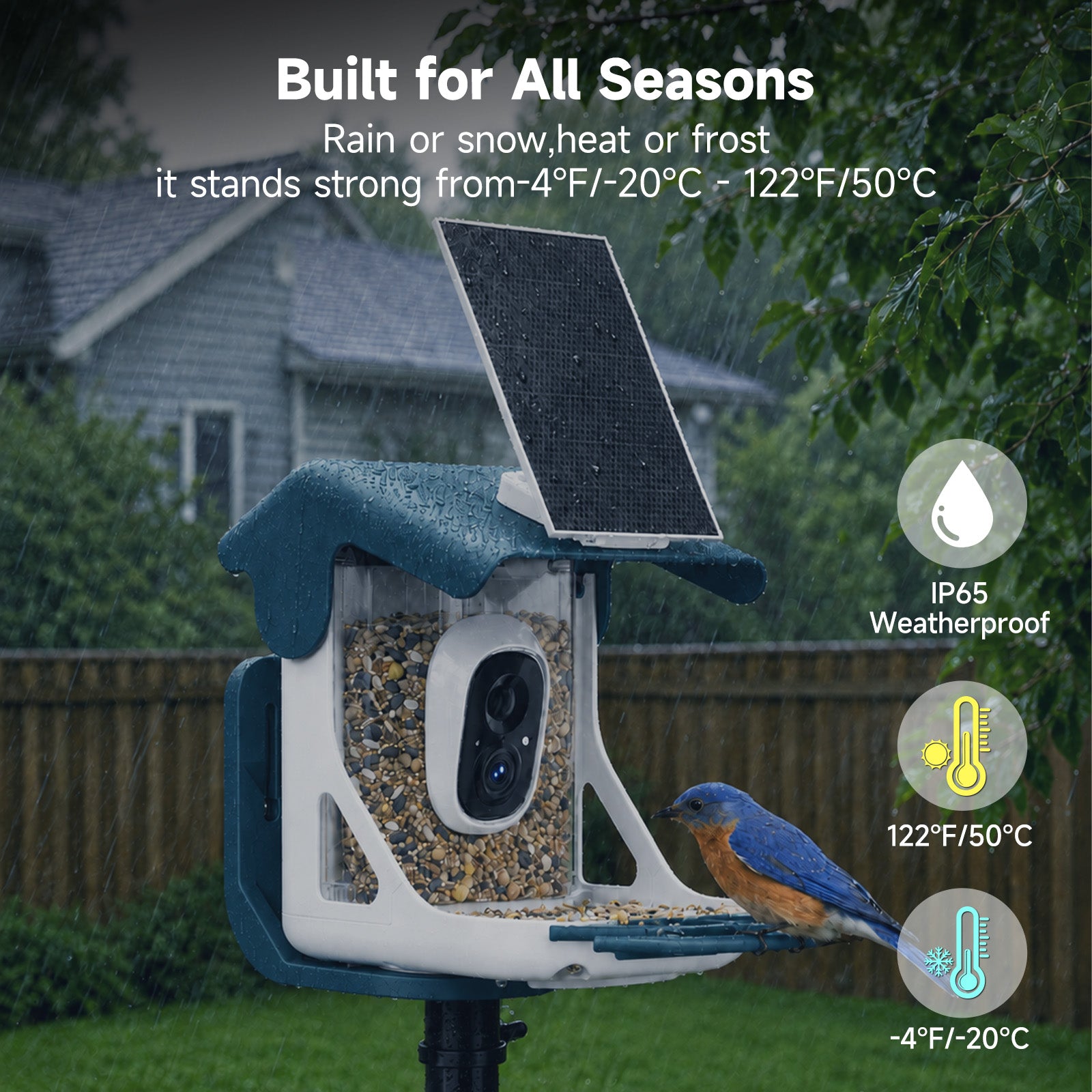 Smart Bird Feeder with 2K Camera & 11,000+ Bird Species AI - Solar Panel Included