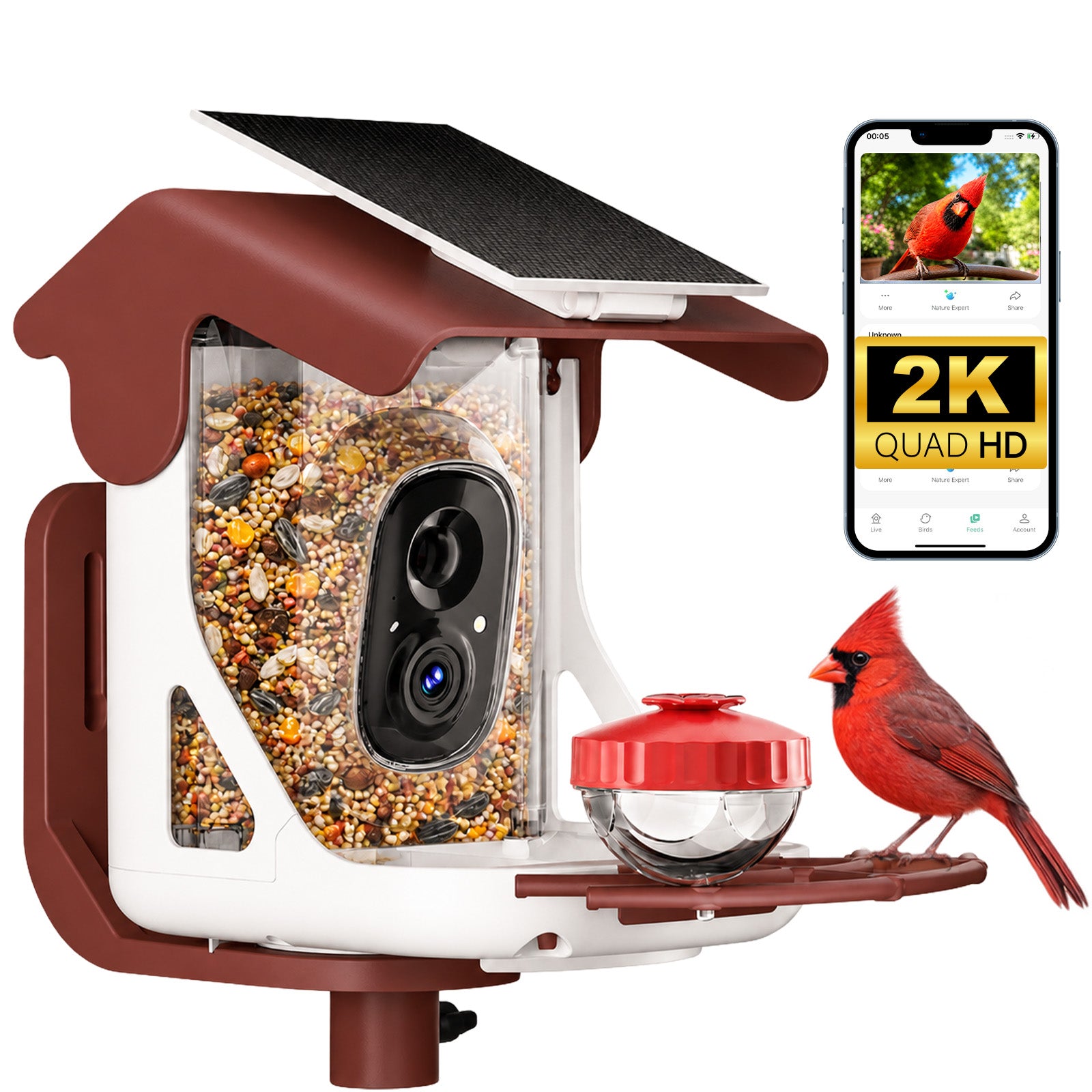 Smart Bird Feeder with 2K Camera & 11,000+ Bird Species AI - Solar Panel Included